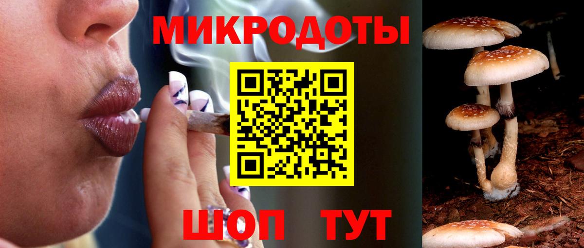 Псилоцибиновые грибы мицелий Усинск
